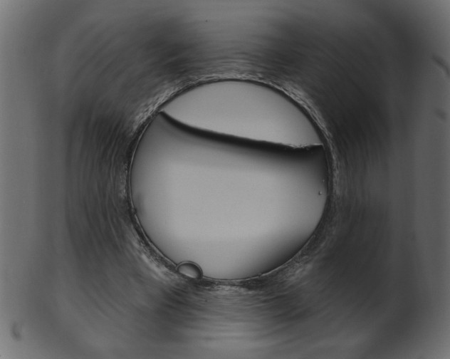 X0000102020393200807180948