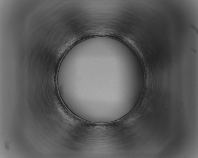 X0000102020394200807180948