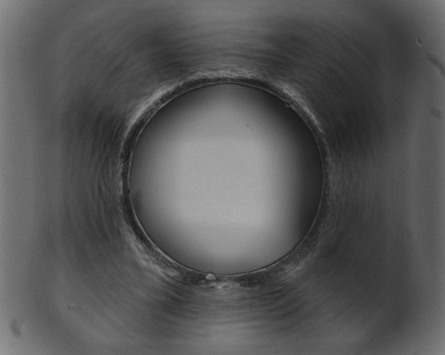 X0000102020395200807180948