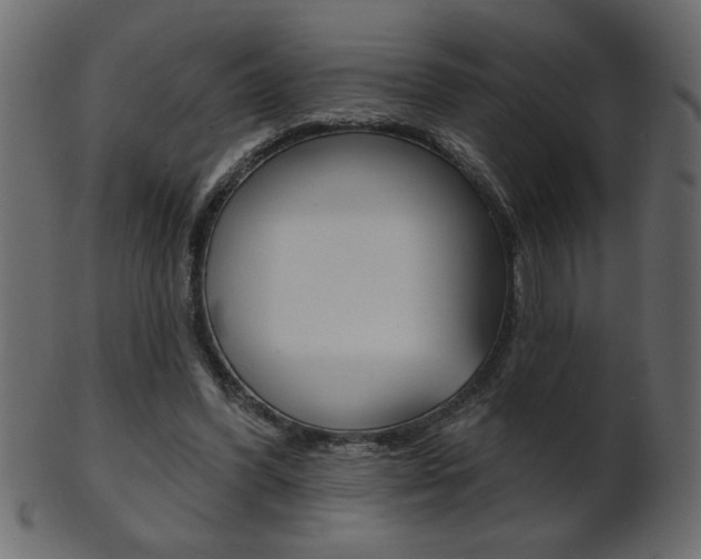 X0000102020396200807180948