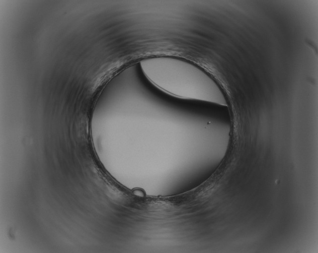 X0000102020397200807180948