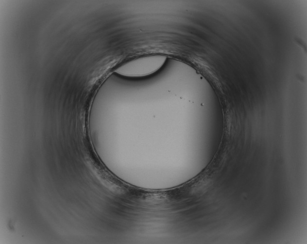 X0000102020398200807180948