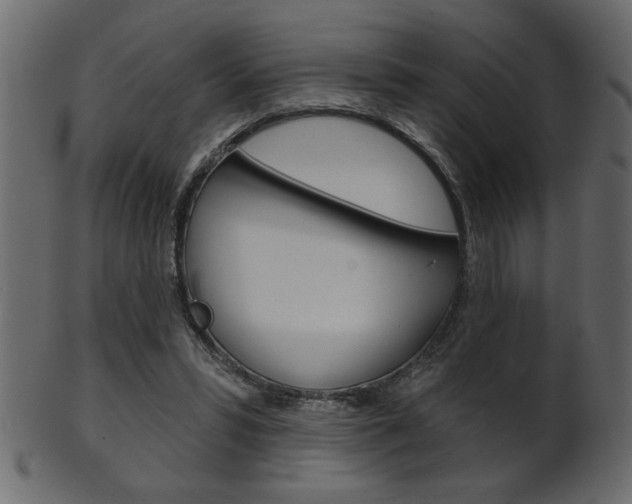 X0000102020399200807180948