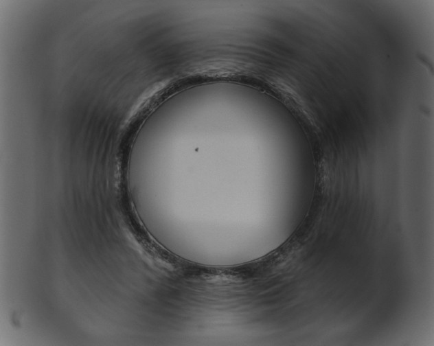 X0000102020400200807180948
