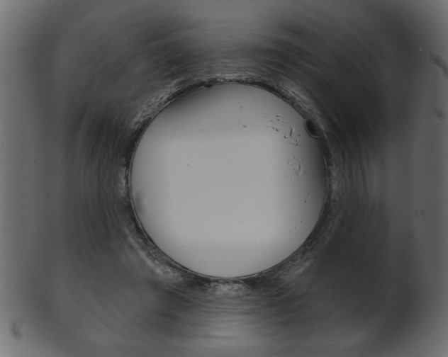 X0000102020401200807180948