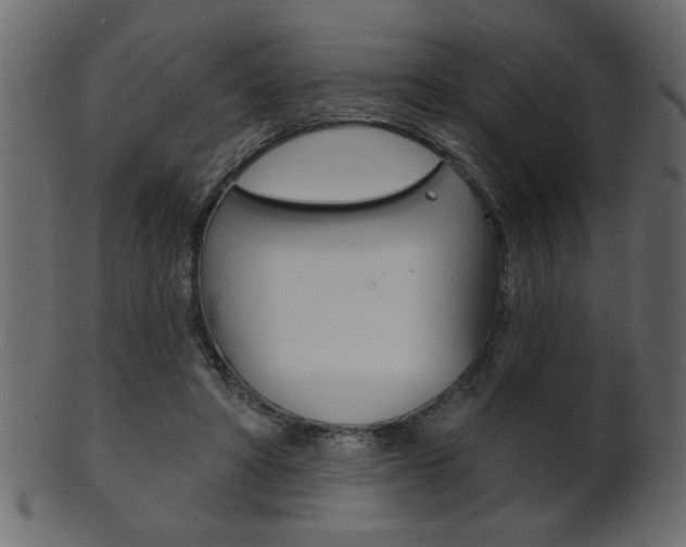X0000102020402200807180948