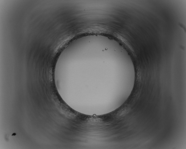 X0000102020403200807180948