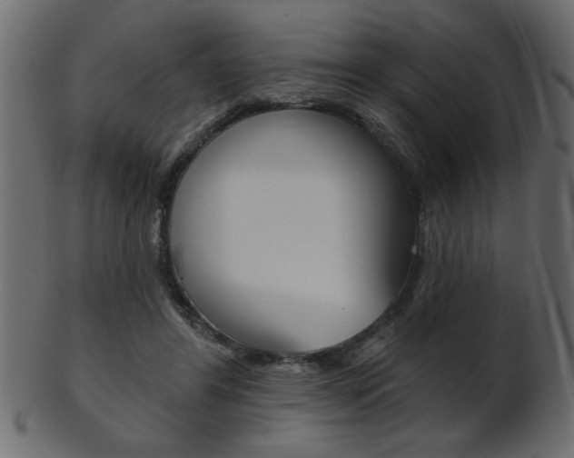 X0000102020404200807180948