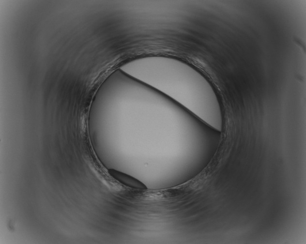 X0000102020405200807180948