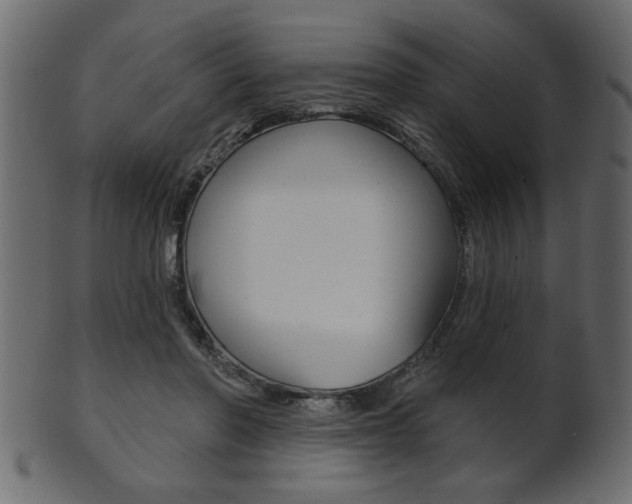 X0000102020406200807180948
