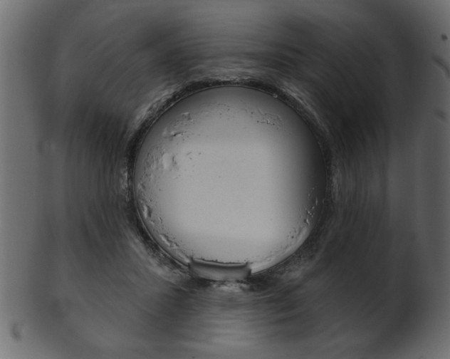 X0000102020407200807180948