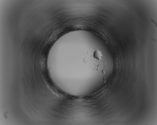 X0000102020408200807180948