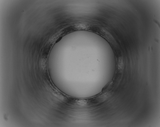 X0000102020409200807180948