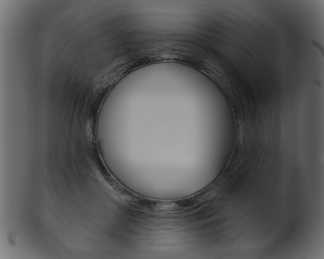 X0000102020410200807180948