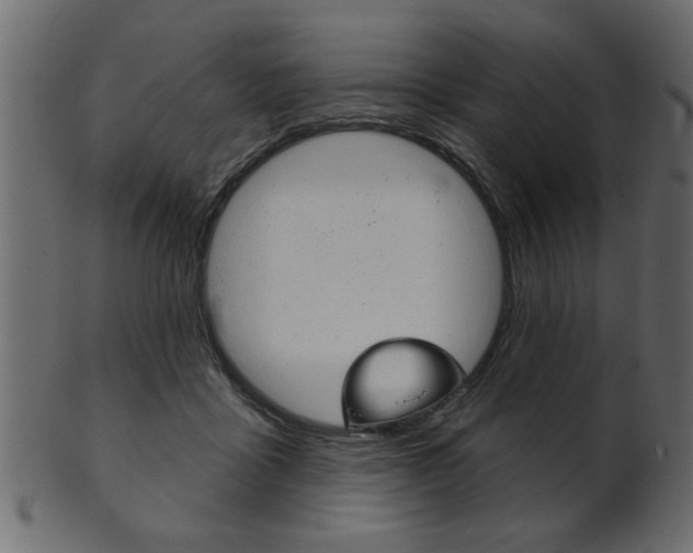 X0000102020411200807180947