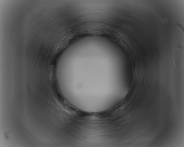 X0000102020412200807180947
