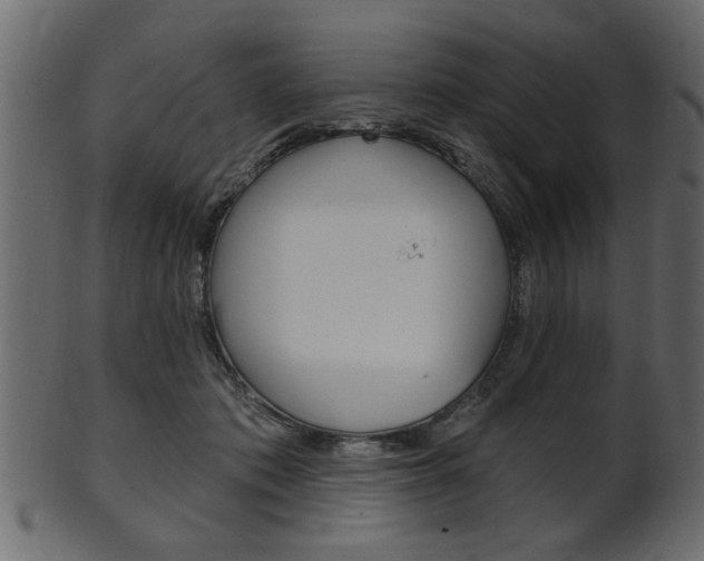 X0000102020413200807180947