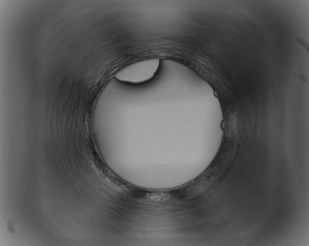 X0000102020414200807180947
