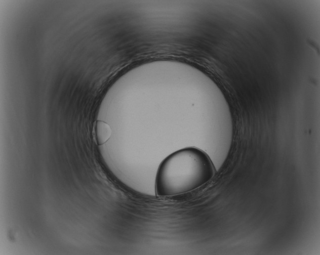 X0000102020415200807180947
