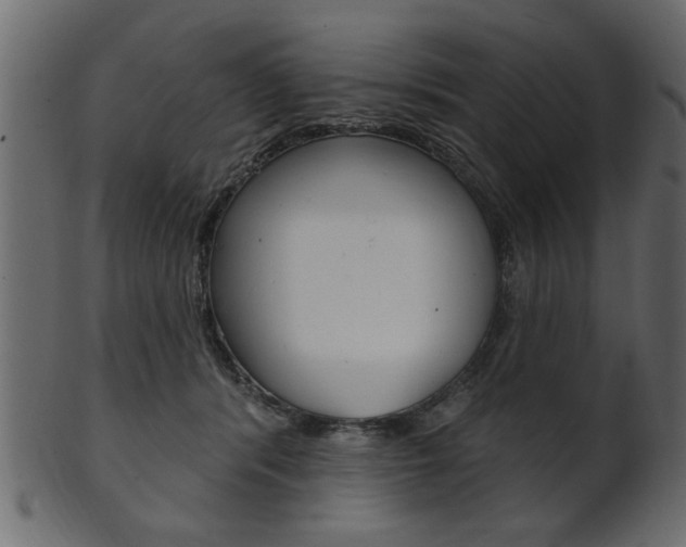X0000102020416200807180947