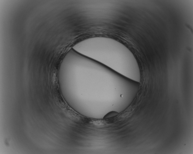 X0000102020417200807180947
