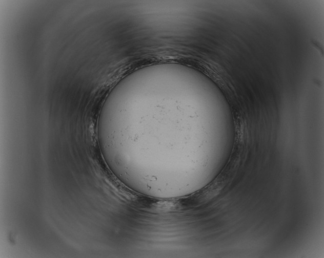 X0000102020418200807180947