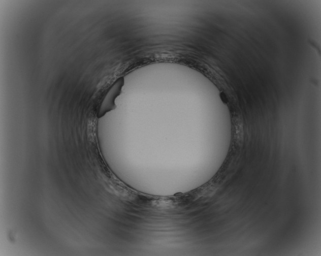 X0000102020419200807180947