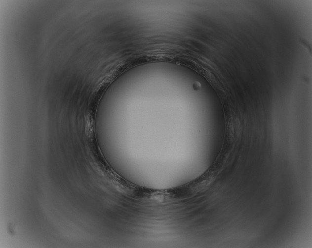 X0000102020420200807180947