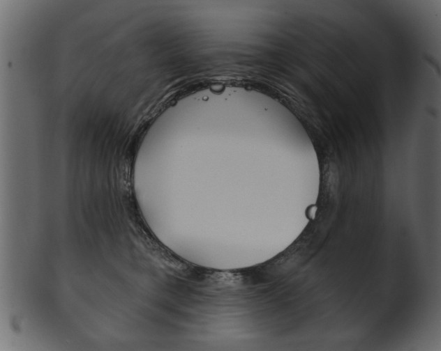 X0000102020421200807180947