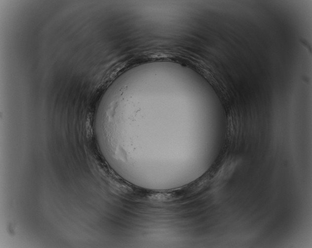 X0000102020422200807180947