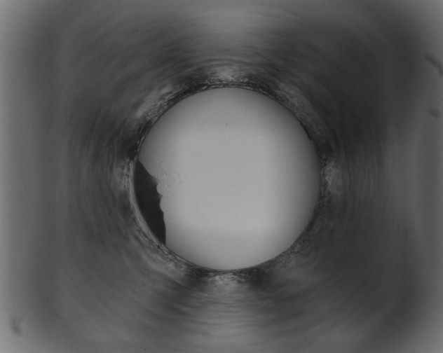 X0000102020423200807180947