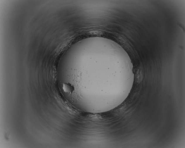 X0000102020424200807180947