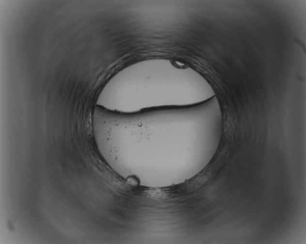 X0000102020425200807180947