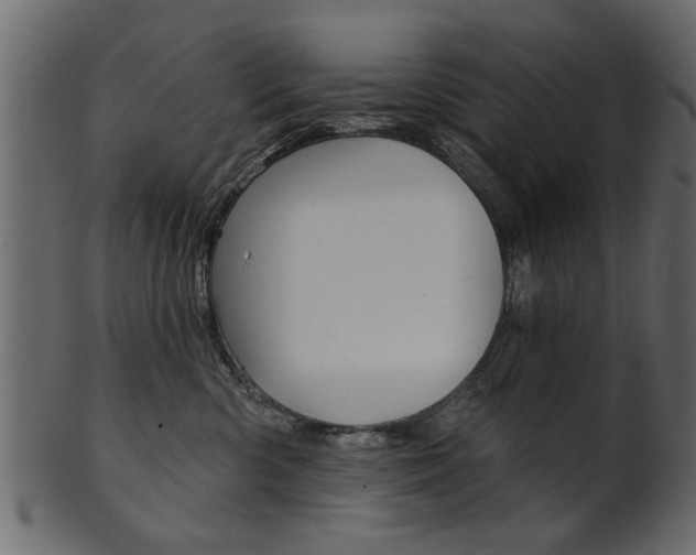 X0000102020426200807180947