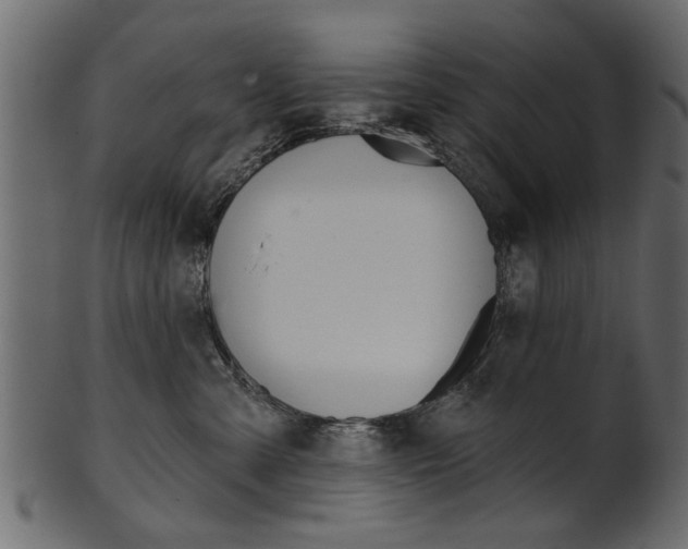 X0000102020427200807180947