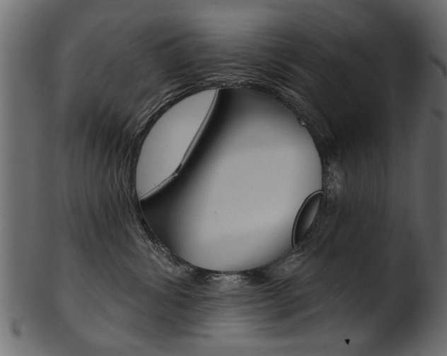X0000102020428200807180947