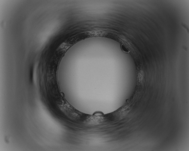X0000102020429200807180947