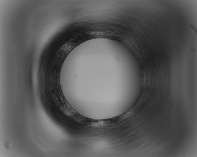 X0000102020430200807180947