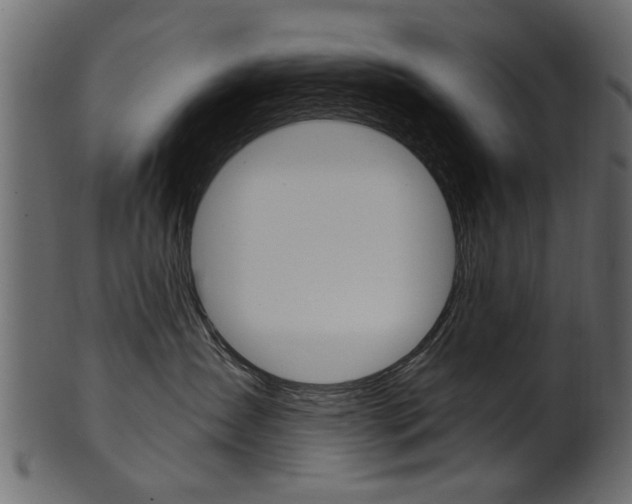 X0000102020431200807180947