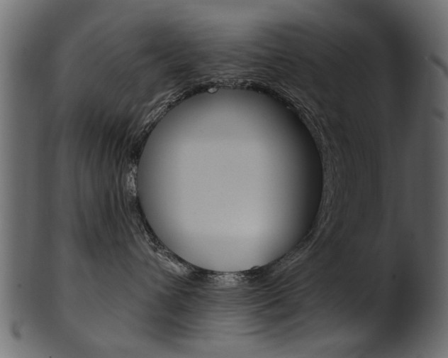 X0000102020432200807180947
