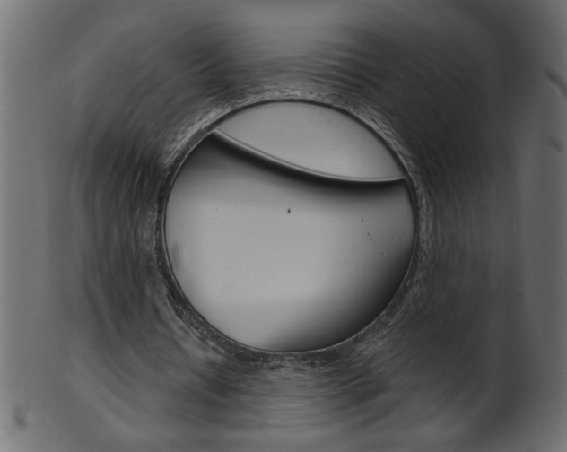 X0000102020434200807180946
