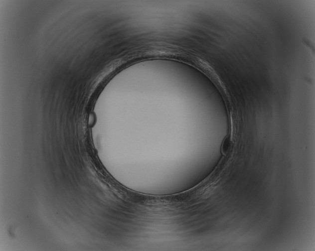 X0000102020435200807180946