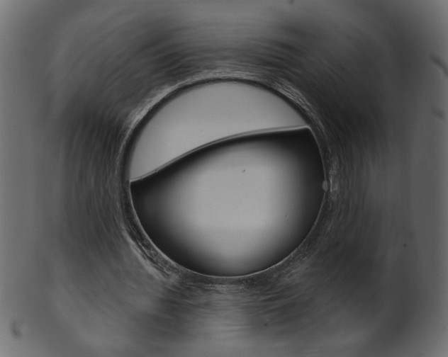 X0000102020436200807180946