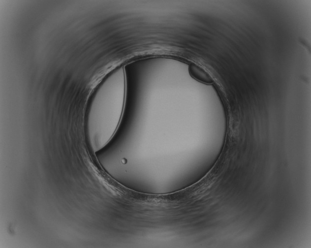 X0000102020437200807180946