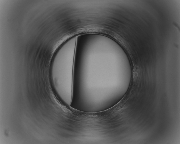 X0000102020438200807180946