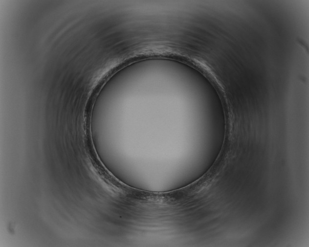 X0000102020439200807180946