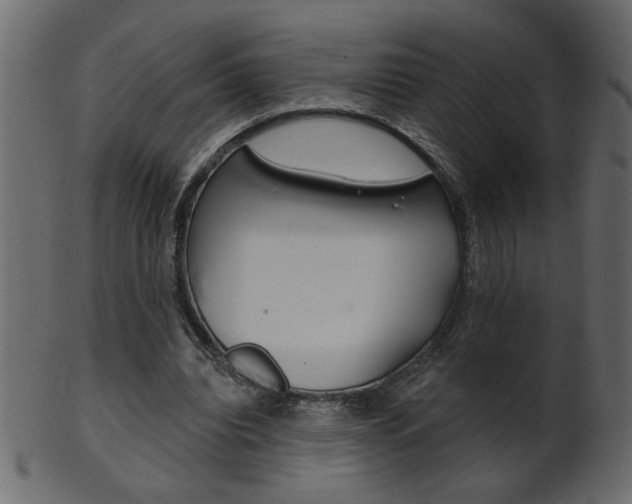 X0000102020440200807180946