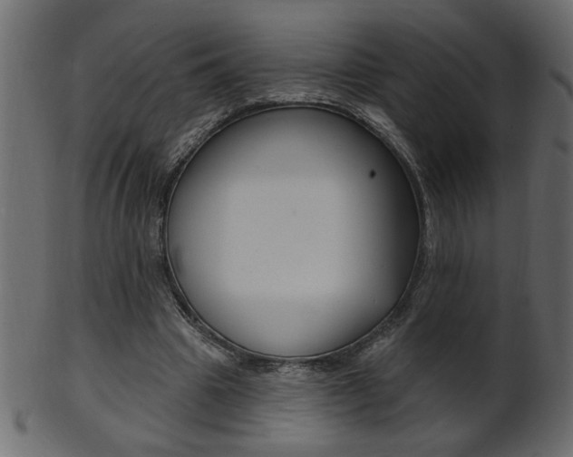 X0000102020441200807180946