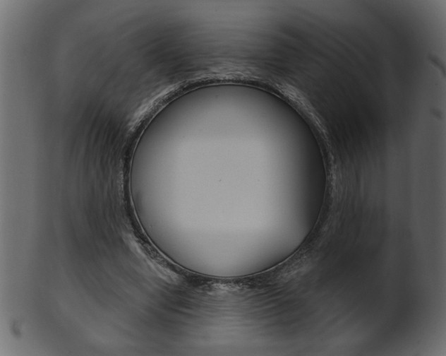 X0000102020442200807180946