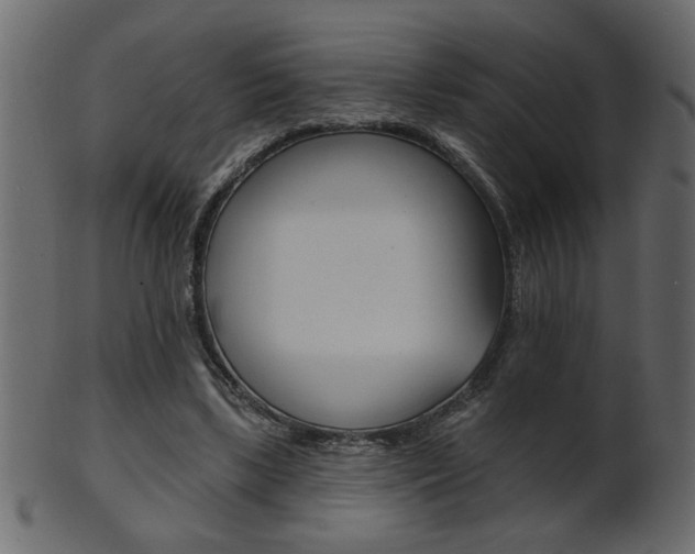X0000102020443200807180946